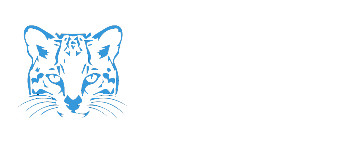 Logo Ocelot Solutions