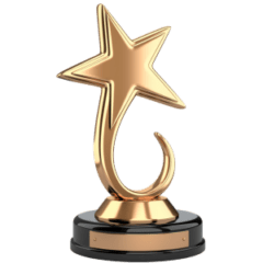 Awards (2)